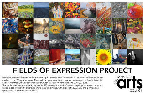 Fields of Expression Project for Emerging Artists Apply by April 27