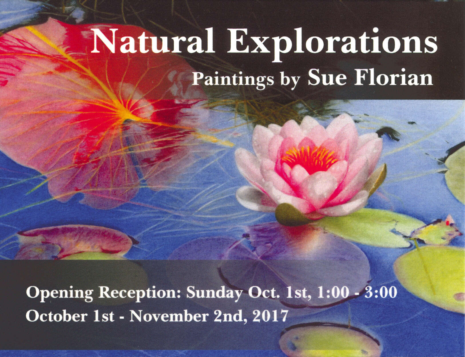 Natural Explorations, Paintings by Sue Florian