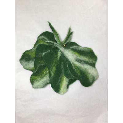 Coaster - Green and white leaf