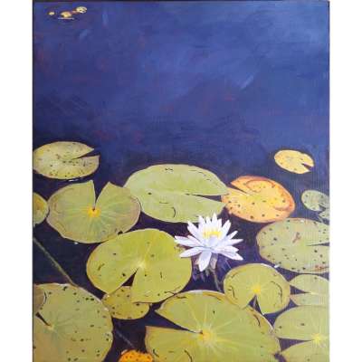 Dishpan Lake #2 -  Lily Pads