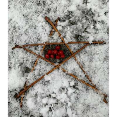 Christmas Greeting Card - Christmas star, red berries