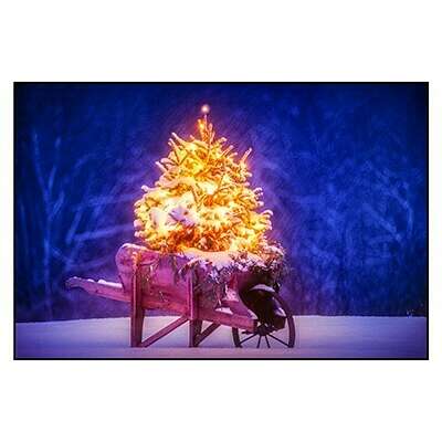 Christmas Greeting Card - Wheelbarrow