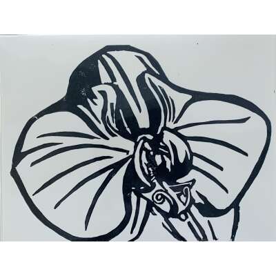 Greeting Card - Orchid