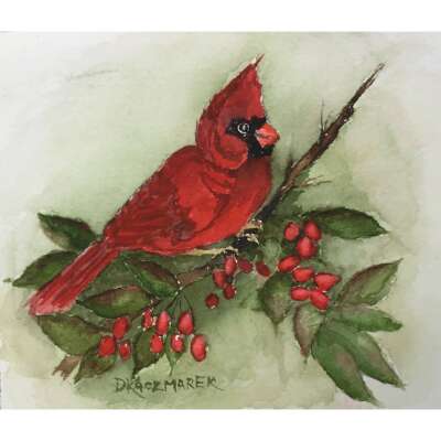 Cardinal and Berries - Greeting Card