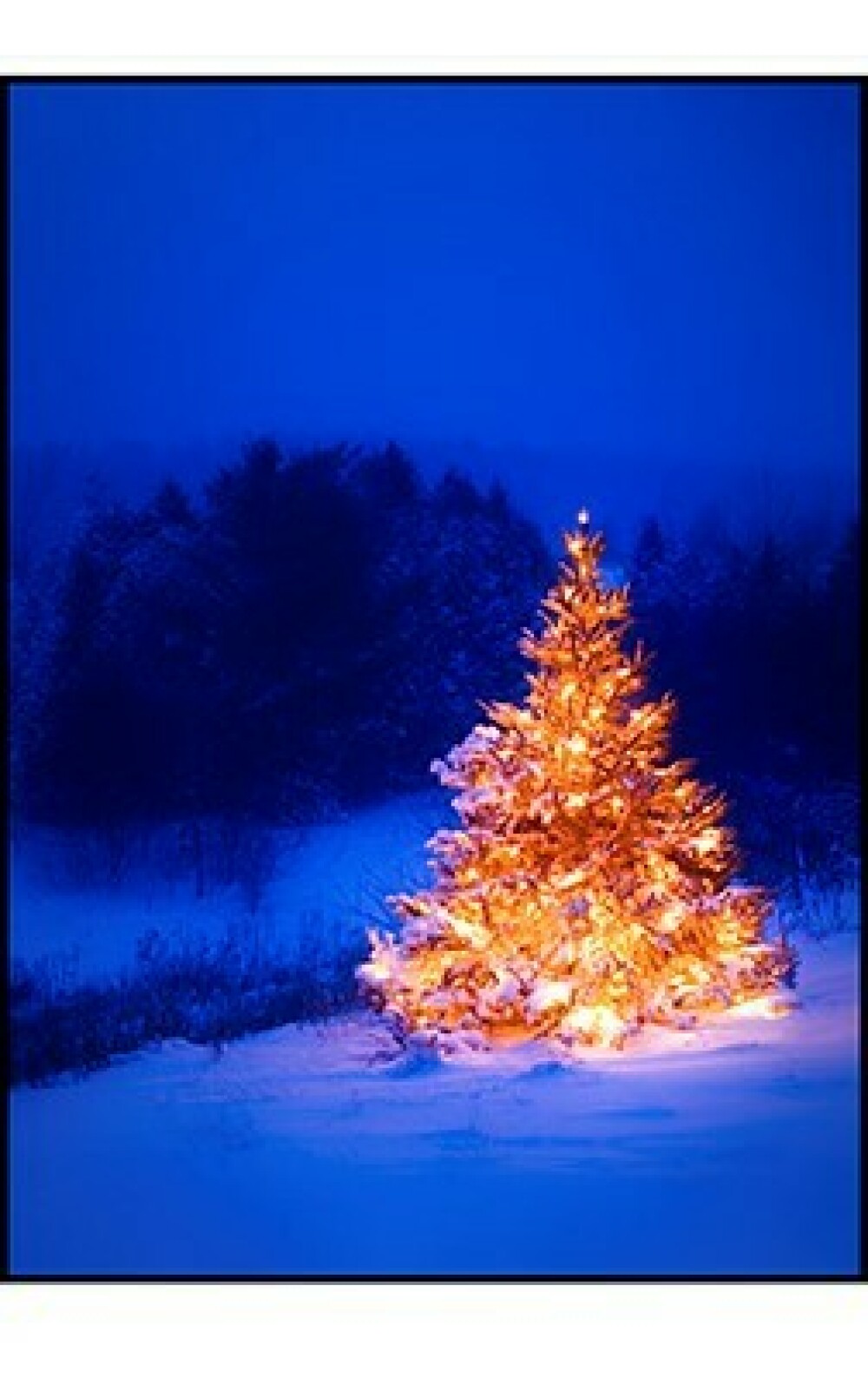 Christmas Greeting Card - Field Tree