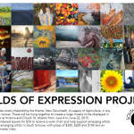 Call for Artists  for Fields of Expression Projects and Call for Youth Artists
