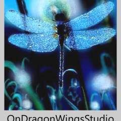 On Dragon Wings Studio - Shelly  Hawley-Yan
