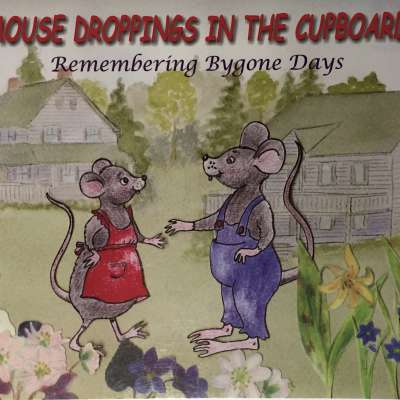 Mouse Droppings in the cupboard