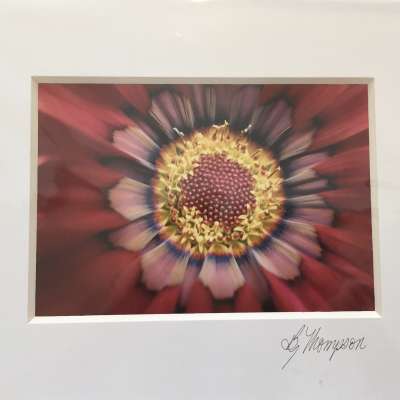 Matted print - Red flower