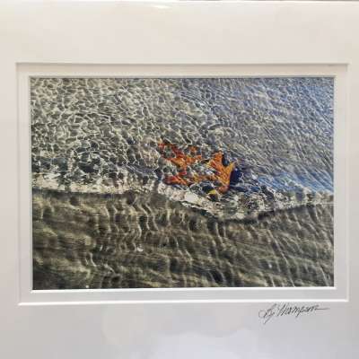 Matted print - Leaf In Water