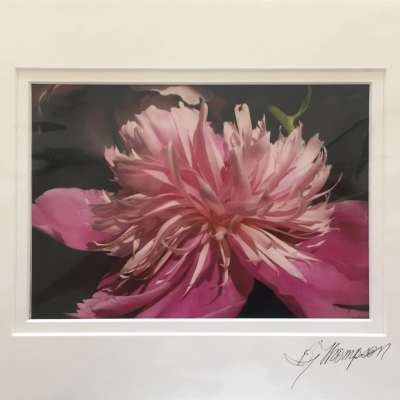 Matted print - Pink Flower 