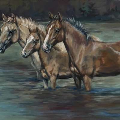 Horses - The River
