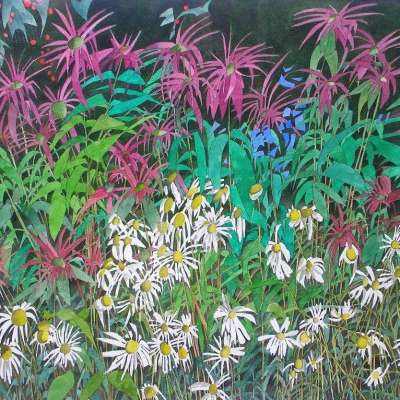 Bee Balm and Daisies