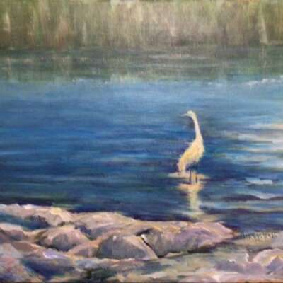 Egret Wading in Sunlight