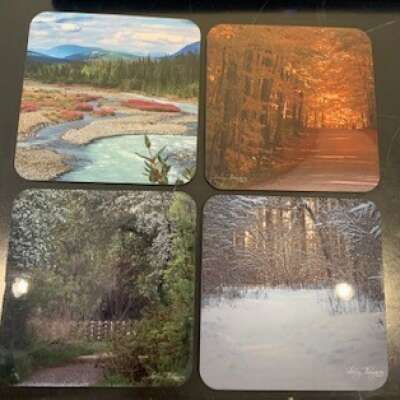 Coasters - Four Seasons