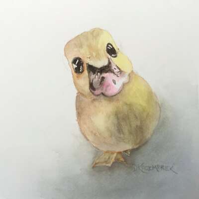 Curious  Duckling - Greeting Card