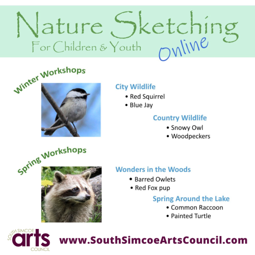 Nature Sketching for Youth