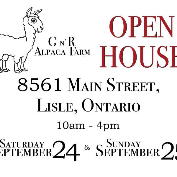 G n' R Alpaca Farm Open House