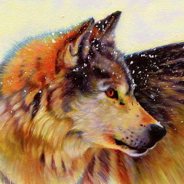 ACRYLIC PAINTING with Wildlife Artist Kelly McNeil