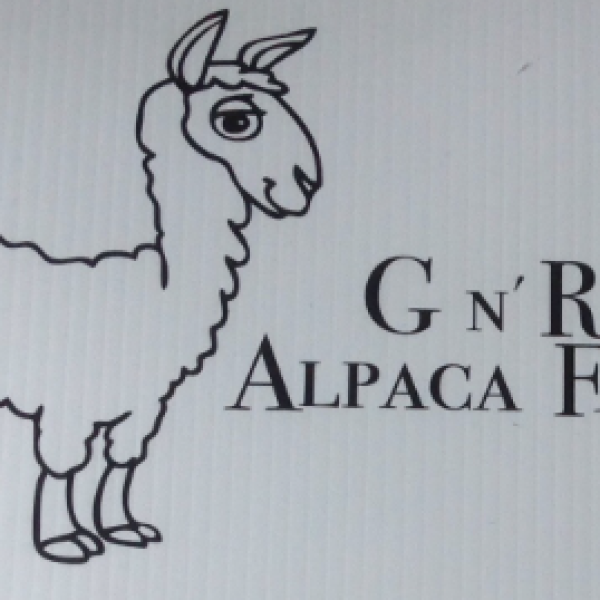 OPEN HOUSE at GN'R Alpaca Farm ~ September 23rd & 24th
