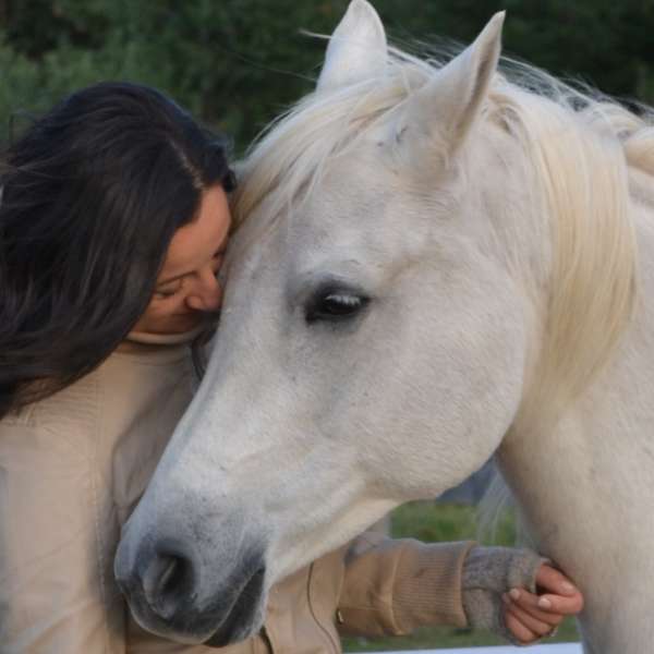The heART of Healing with Horses