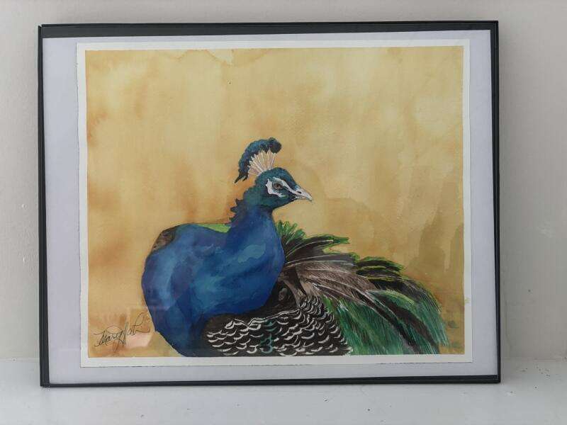 Resting Feather Display - Watercolour