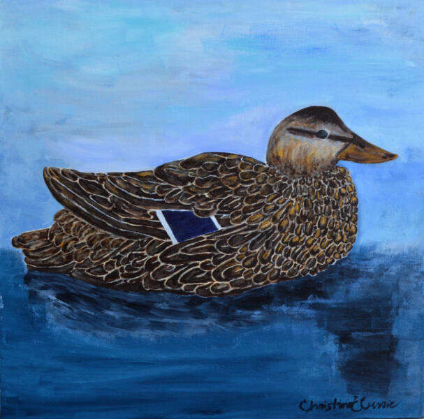It Only Takes a Puddle - Breeding Female Mallard, heavy acrylic on canvas, Urban Agriculture Flora and Fauna project, 2023. 20"W x 20"H x 1.5"D All rights reserved.
