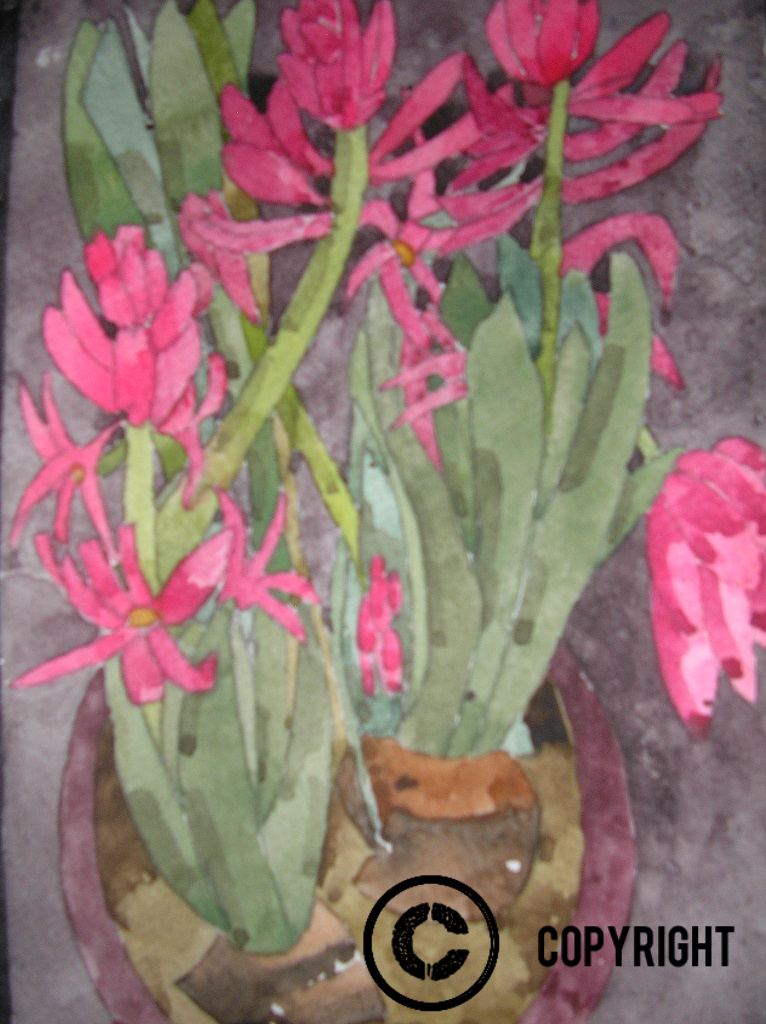 Potted Hyacinths (watercolour) 5" x 7" (17.5" x 15" framed) $275