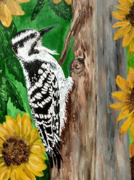 Downy Woodpecker (detail), heavy acrylic on canvas, Urban Agriculture Flora and Fauna project, 2023. 20"W x 20"H x 1.5"D All rights reserved.