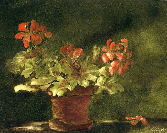 Terra Cotta & Geraniums