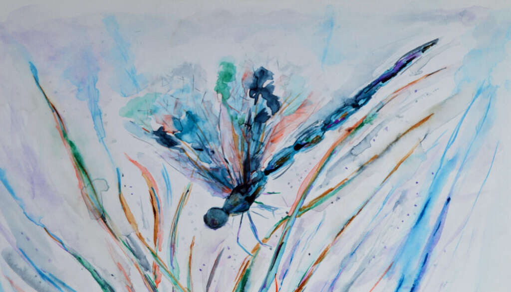 Dragonfly on the Reeds (detail), watercolour on paper. All rights reserved.