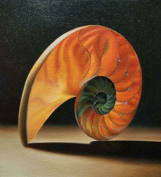 Nautilus. Oil on canvas. 9 in. x 9.25 in.