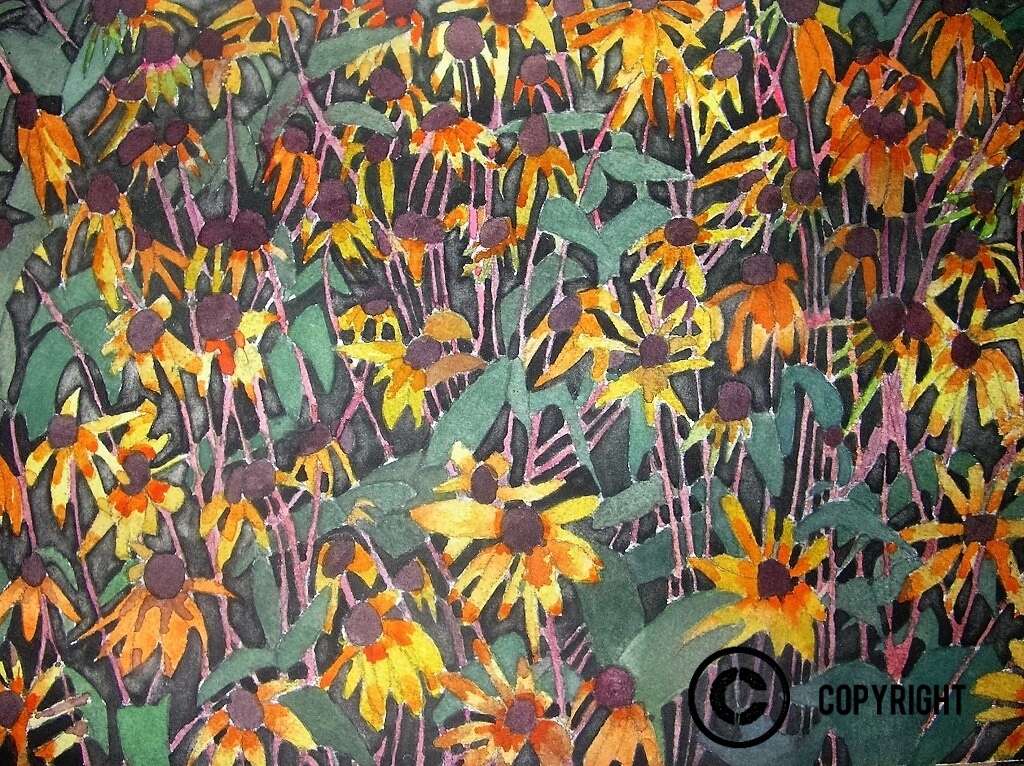 Alliston Daisies, Watercolour, 14" x 11", 19.50" x 16.25" frame, $450.00