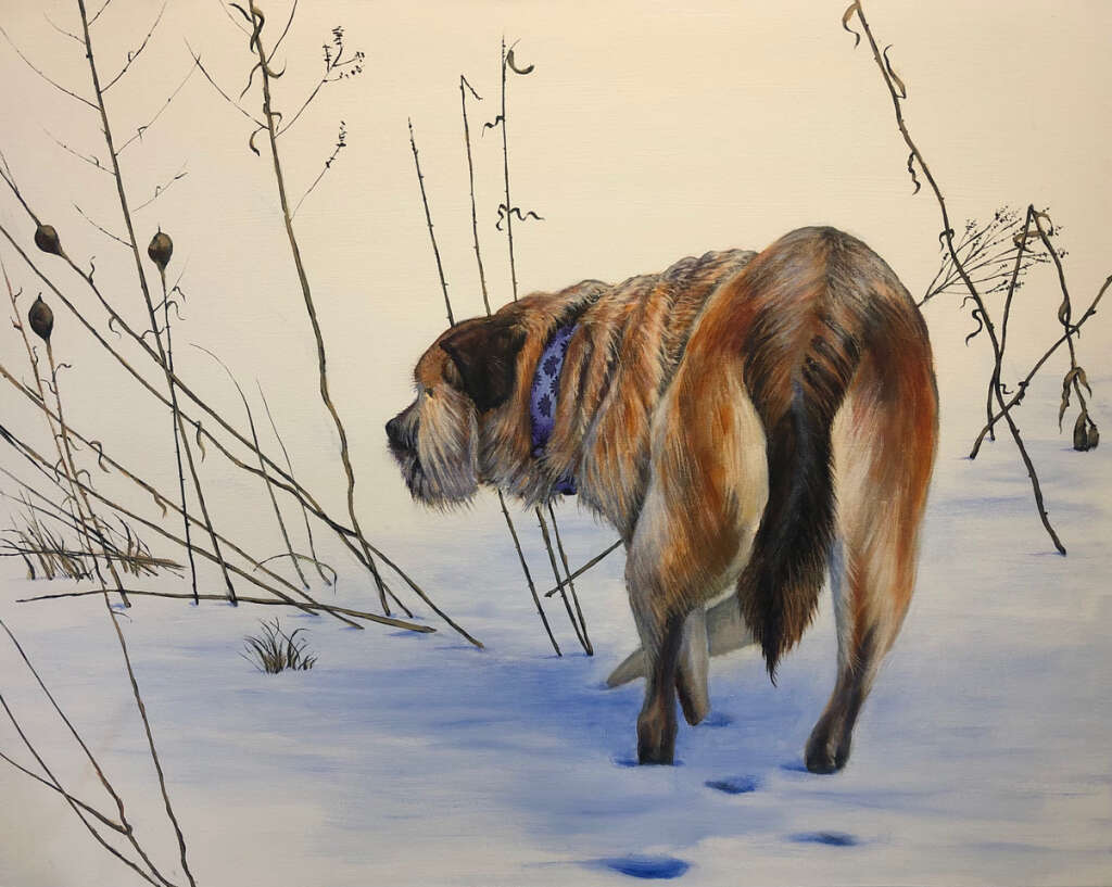 Phoebe the Dog in Dead of Winter, Acrylic   12 X 12 
