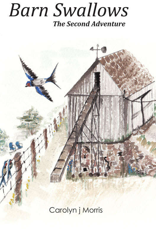 Barn Swallows The Second Adventure