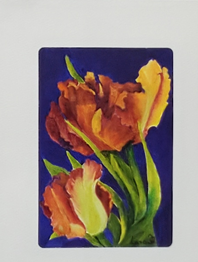 Parrot Tulip