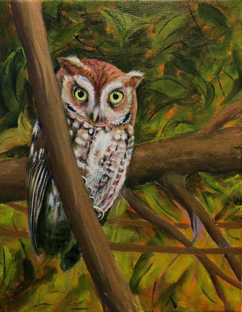  Eastern Screech Owl, Acrylic 16 X 12