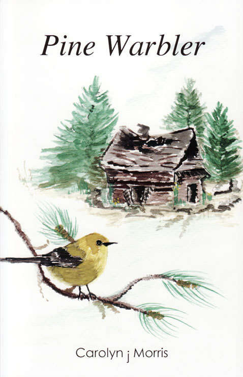 Pine Warbler an exceptional companion for Mourning Dove & Barn Swallows