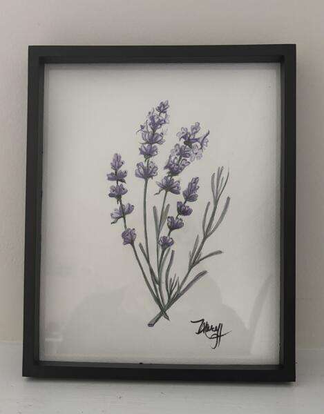 A Little Lavender - Watercolour