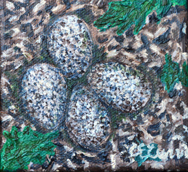 Next Generation (Killdeer eggs), heavy acrylic on canvas, Urban Agriculture Flora and Fauna project, 2023. 4"W x 4"H x 1.5"D All rights reserved.