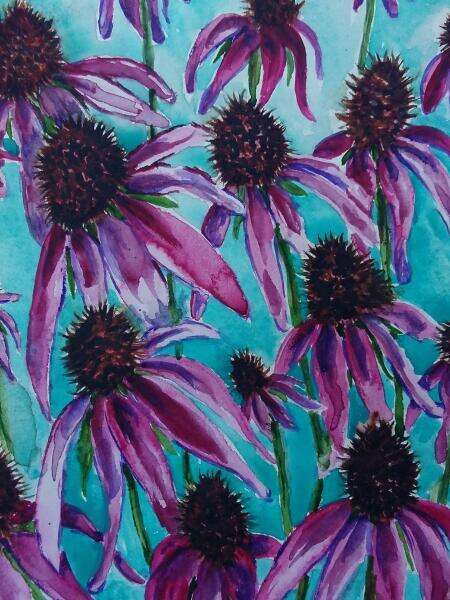 Purple Coneflowers, watercolour on paper. All rights reserved.