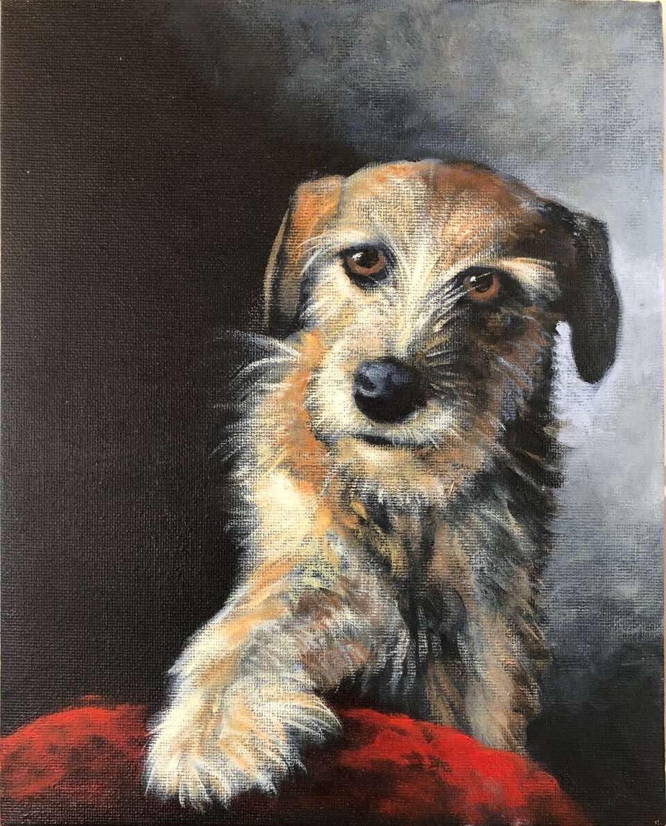 Phoebe the Dog, Acrylic  12 X 12 