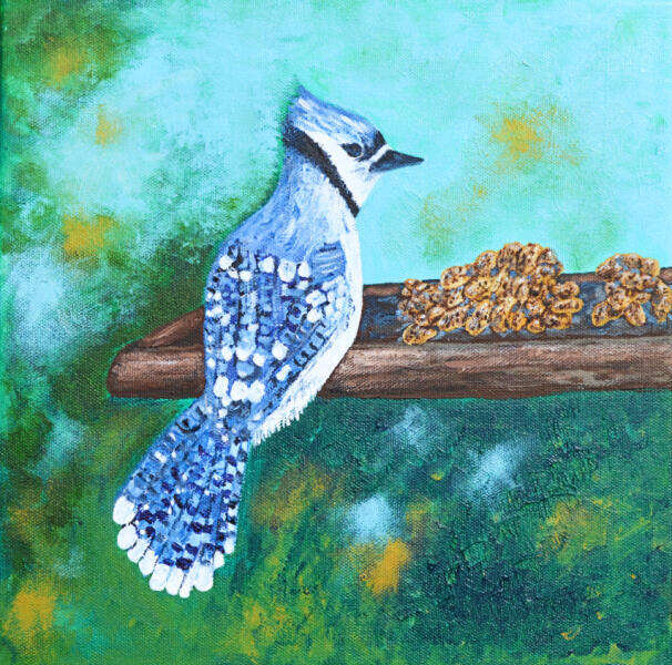 Blue Jay, heavy acrylic on canvas, Urban Agriculture Flora and Fauna project, 2023. 12" W x 12" H x 1.5" D All rights reserved.