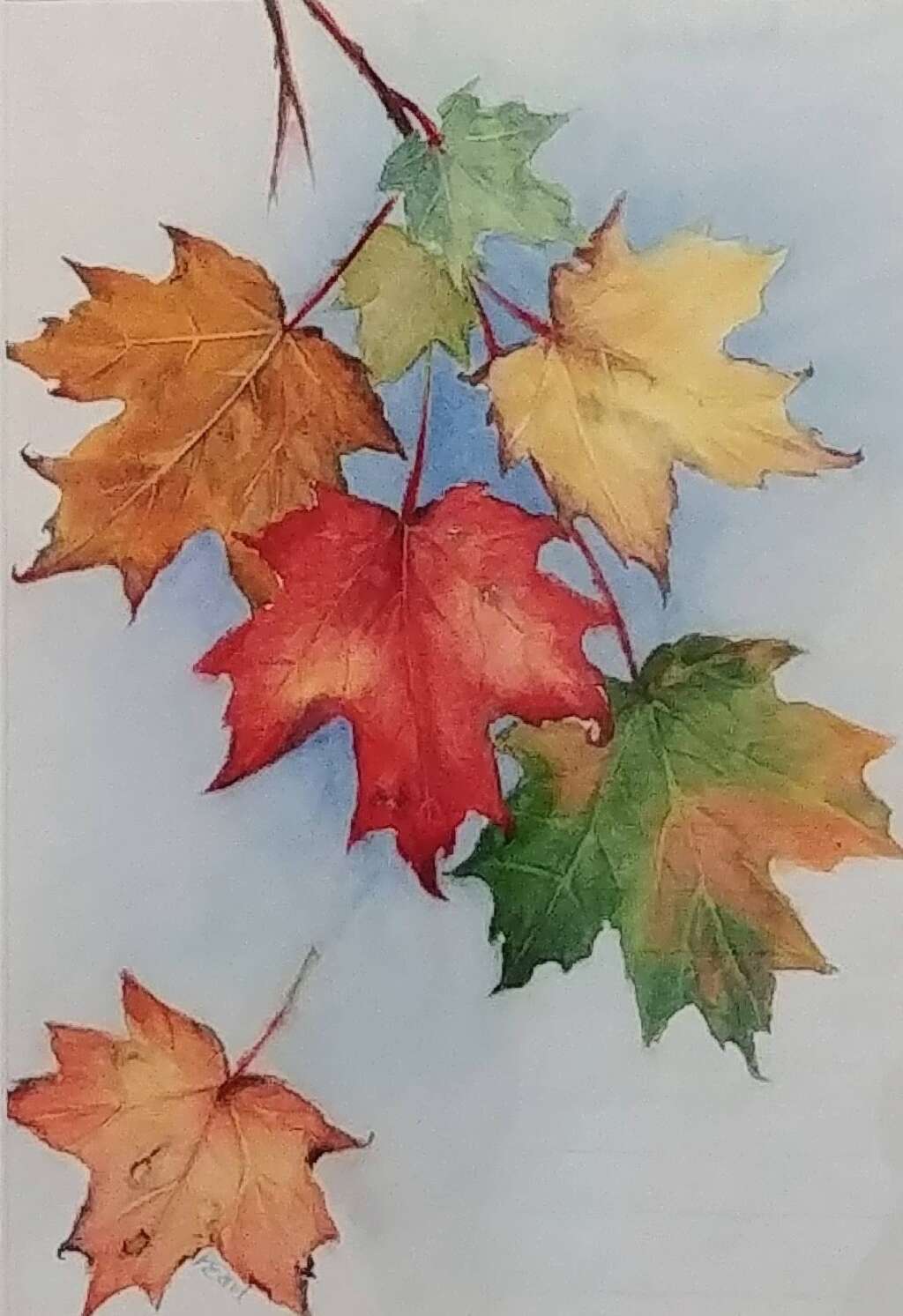 Maple Leaf Forever