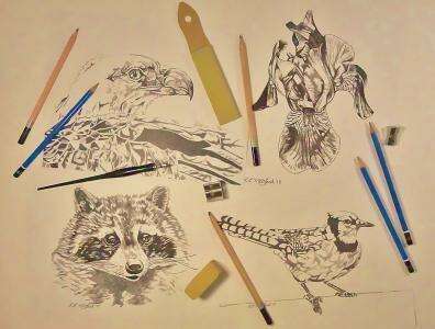 Drop-In Drawing Wednesdays with Len MacLeod
